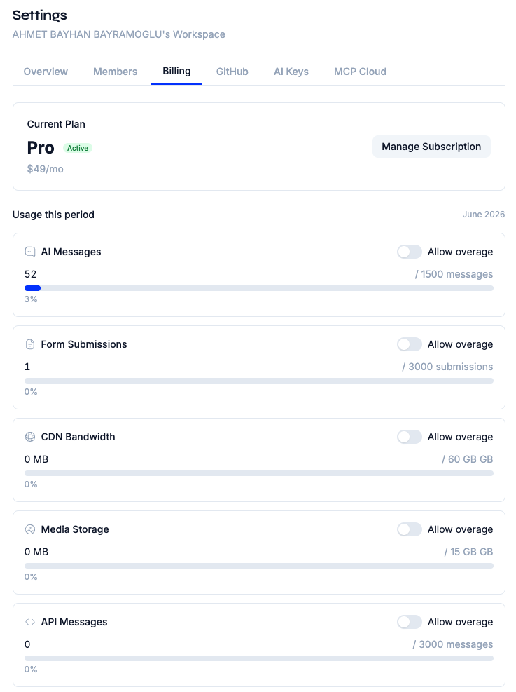 Usage-based value comes from AI and delivery